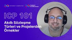 Akıllı Sözleşme Türleri ve Projelerden Örnekler | ICP 101 Serisi #5