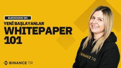 Yeni Başlayanlar İçin #Bitcoin Whitepaper Nedir? | Blockchain 101